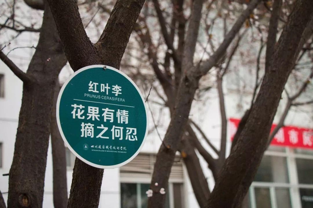 比二本线高一点的学校,比二本线多1分的本科能被录取吗