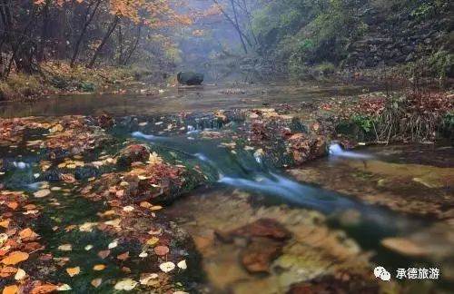 醉美九龙,九龙潭踏青一日游