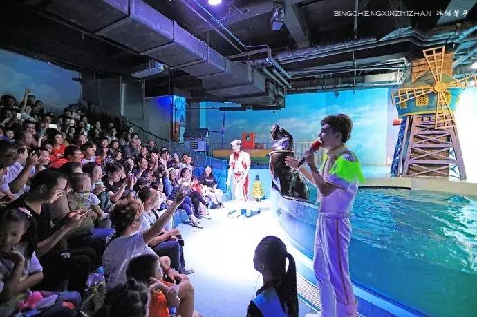 哈尔滨极地公园极地馆时间,哈尔滨极地公园和极地馆区别