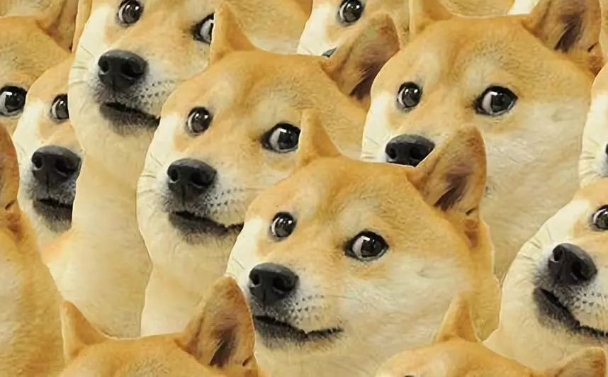 怎么选择合适的膜,老司机喜欢贴什么颜色的车膜