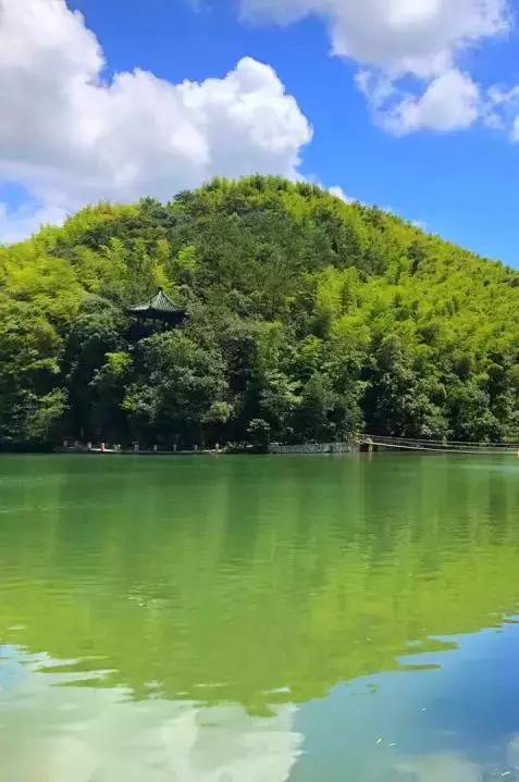 宜兴竹海吹起了一股简洁风,吹来了一波纯色壁纸~