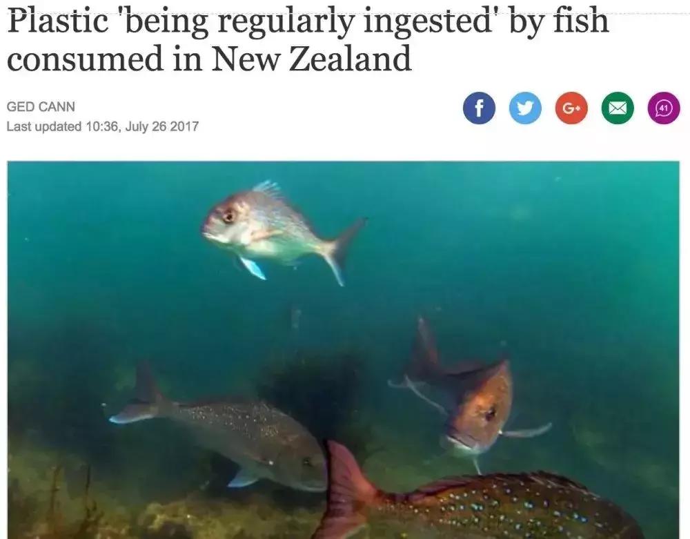 外卖害了下一代,外卖正在毁灭我们的下一代读后感