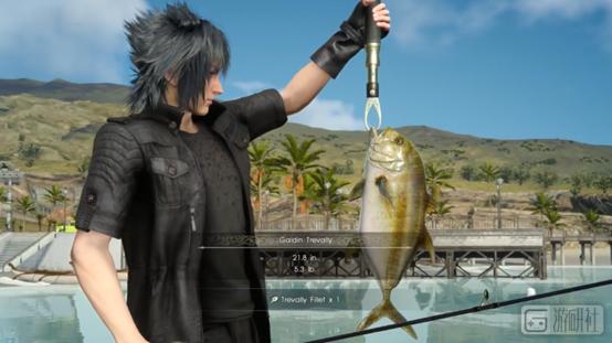 碰瓷电子游戏的同时,善待动物组织PETA正在不断壮大