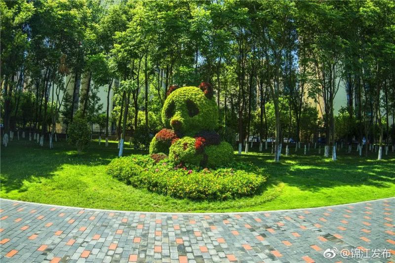 去天府绿道怎么走,去天府绿道需要做什么准备