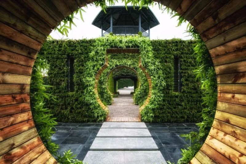 去天府绿道怎么走,去天府绿道需要做什么准备