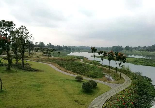 天府绿道跑步5小时,到天府绿道走一走