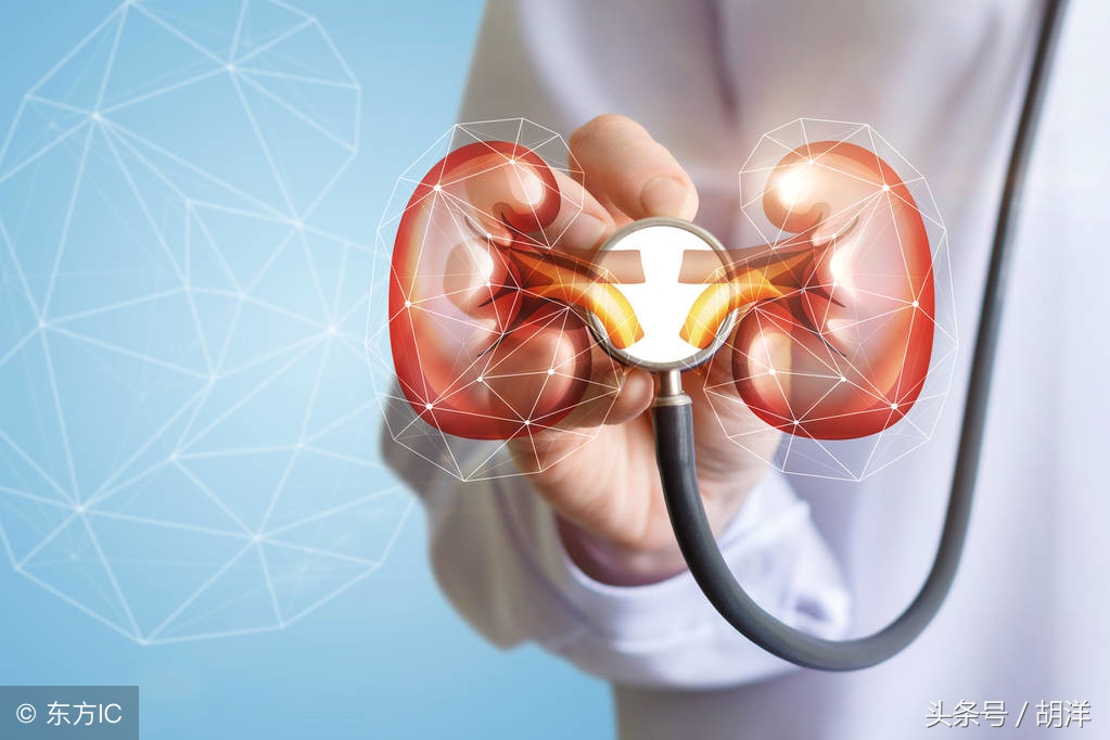 尿里有白细胞怎么回事,尿里有白细胞和细菌怎么回事