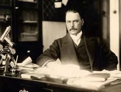 世界蚊子日是什么节日,有世界蚊子日吗