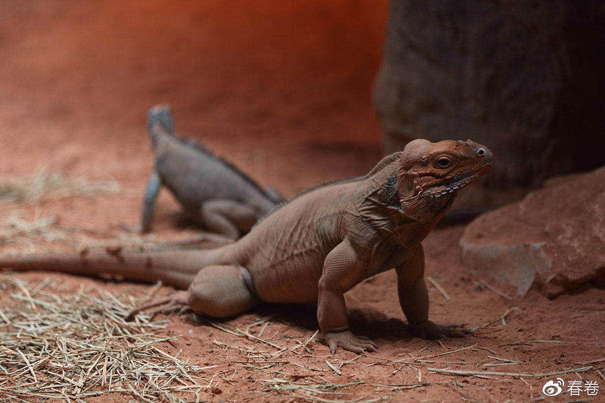 佳能人像风景原图直出参数,佳能复古风人像