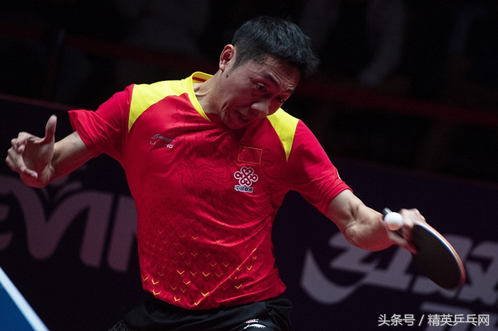 保公赛勇夺双冠！年龄却有些尴尬，到底属“蛇”还是属“马”？