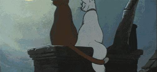 女朋友为什么那么黏人,女朋友黏人的三种程度