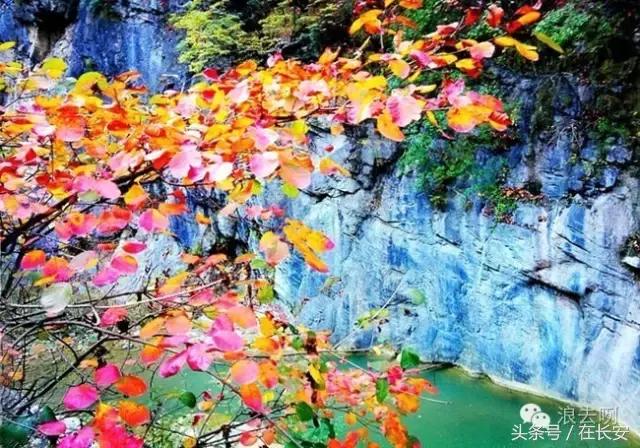 秦岭深处藏大瀑布,隐藏在太行深山里的神秘石头古寨