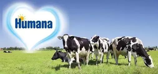 德国著名企业排名,德国在中国的知名企业