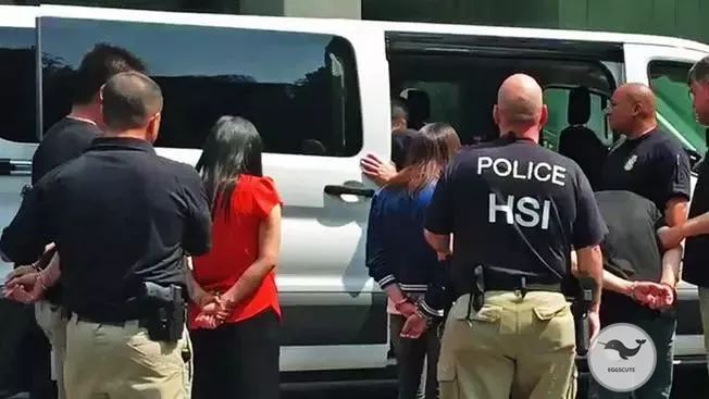 纽约走私大案,纽约最大规模走私案