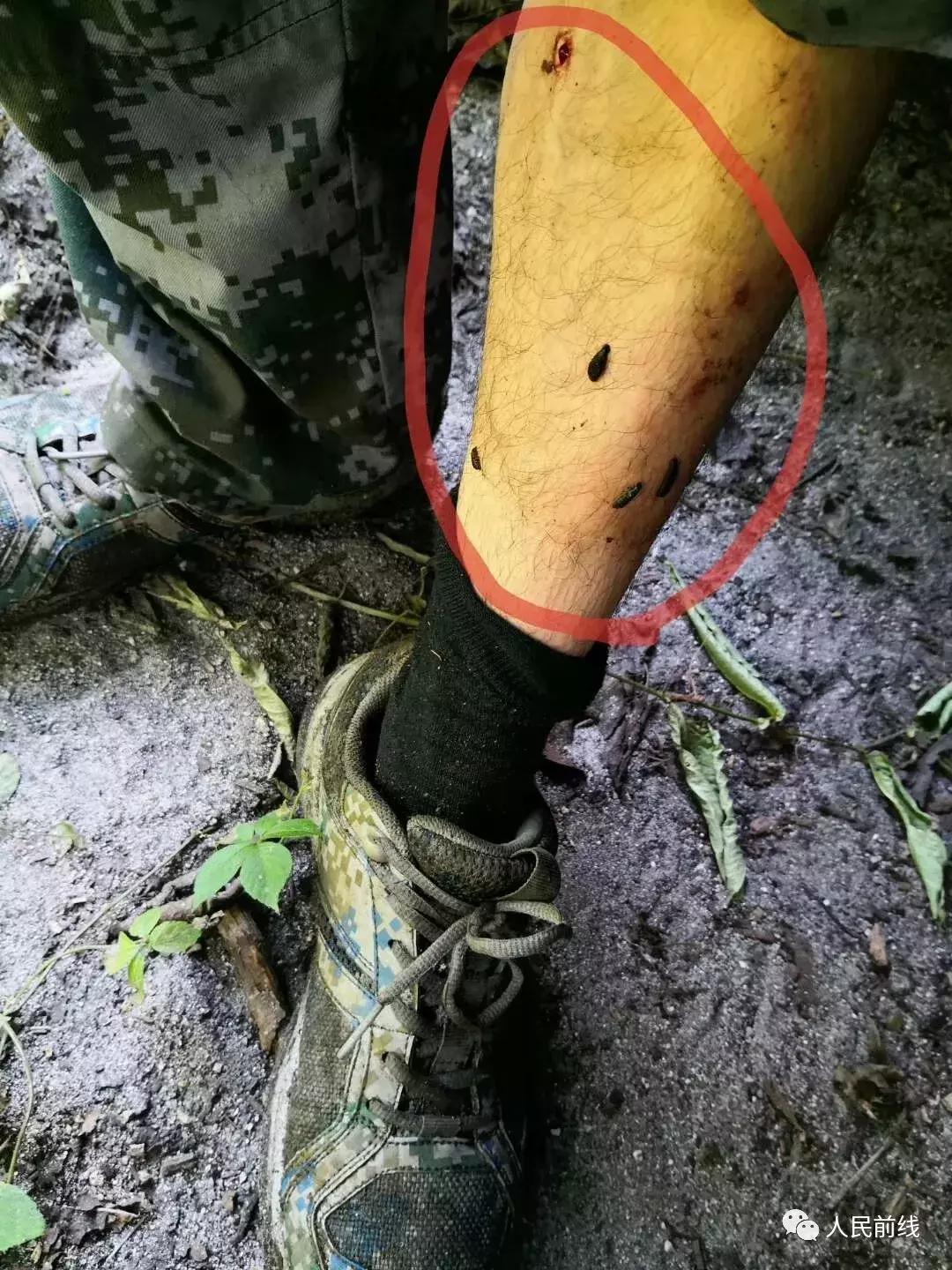 西藏墨脱边防兵的真实生活,墨脱解放军的真实记录