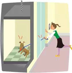 电梯安全装置图解,电梯安全使用图解及困梯自救