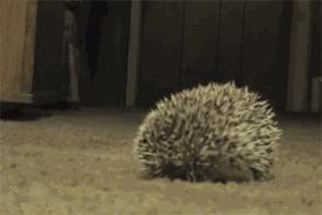 琴童练琴出现的问题,孩子对学琴抵触心理怎么办