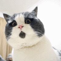 范冰冰推荐的酒糟面膜是碧迪皙吗,范冰冰都在用的酒粕面膜