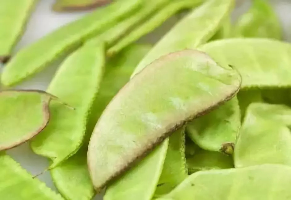 一家5口中毒是什么原因,一家五口绿豆汤中毒事件