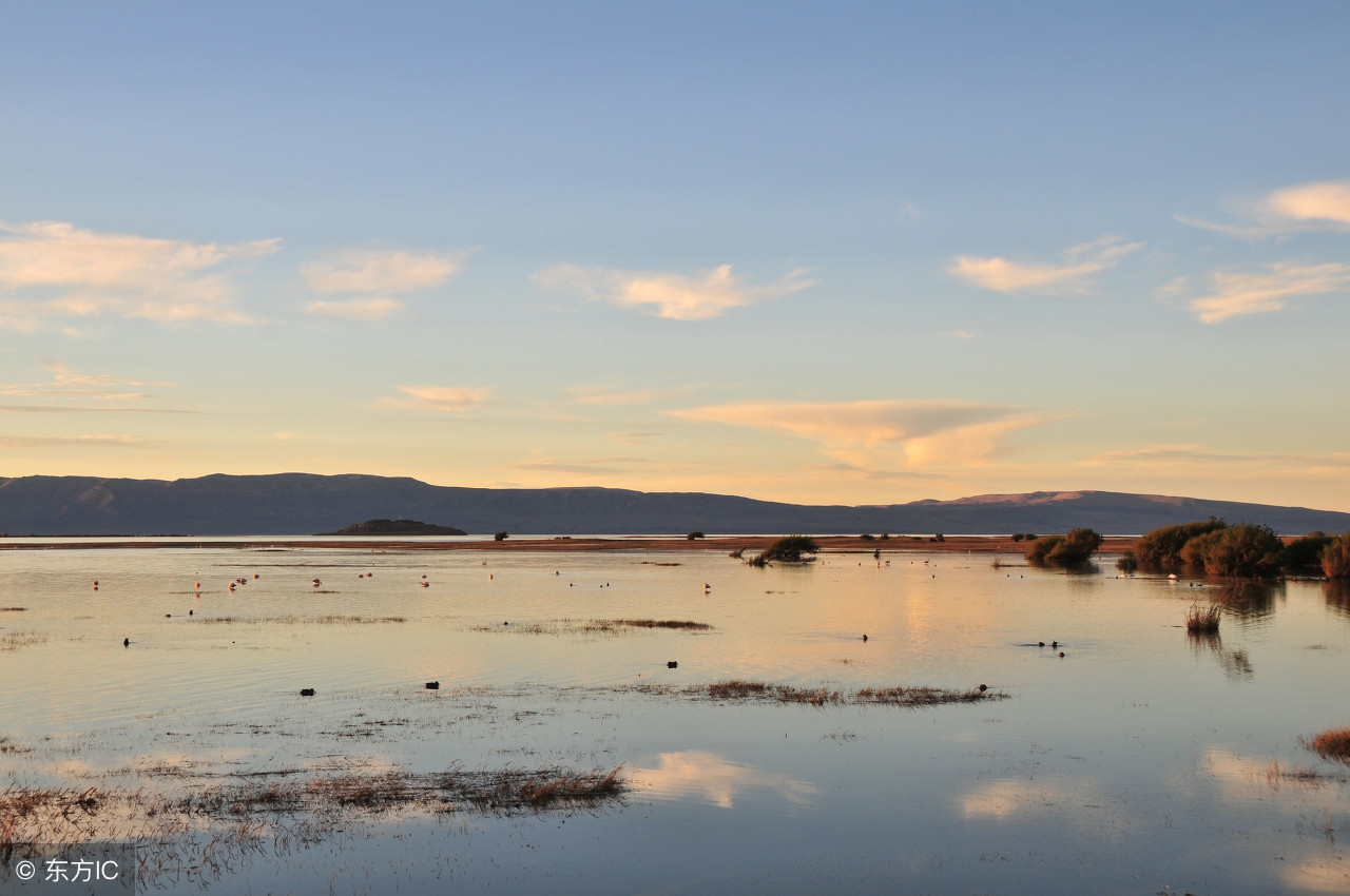 错开免税发票怎么处理,增值税发票错开如何处理