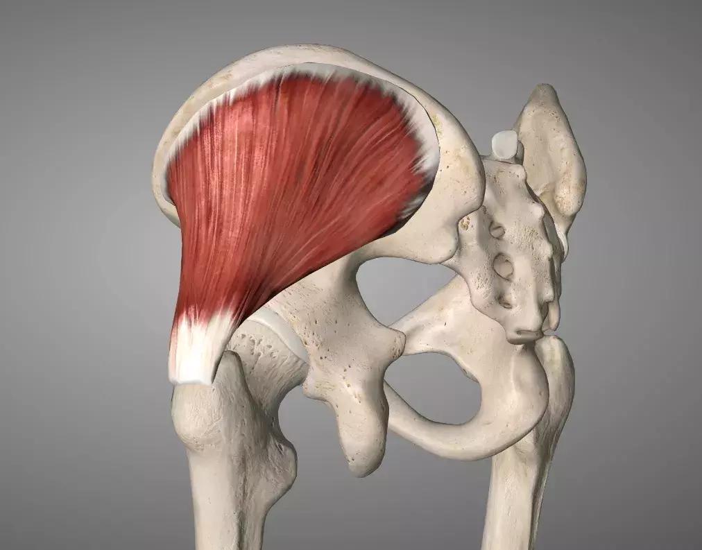 跑者膝盖痛,跑者右侧臀部疼怎么办