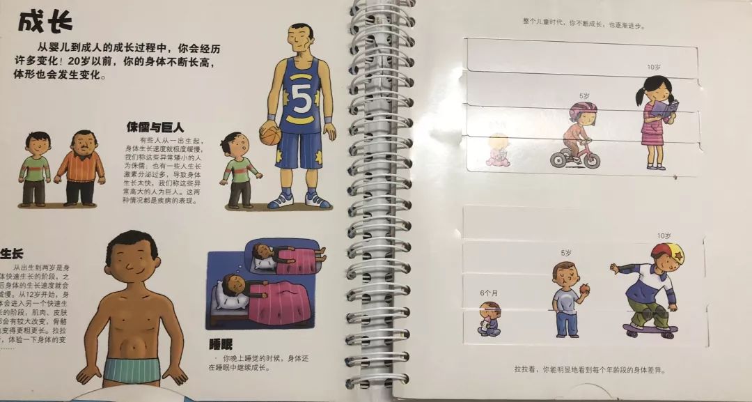 青春期性教育书籍排行榜前十名,适合小学生性教育的书推荐