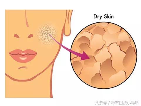 护肤姐妹花,护肤姐妹花推荐