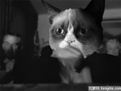 闻者伤心的淘宝代付退款规则比闺蜜绝交还要刺激