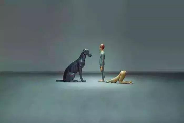 拉布拉多不养了怎么办,拉布拉多不护主人