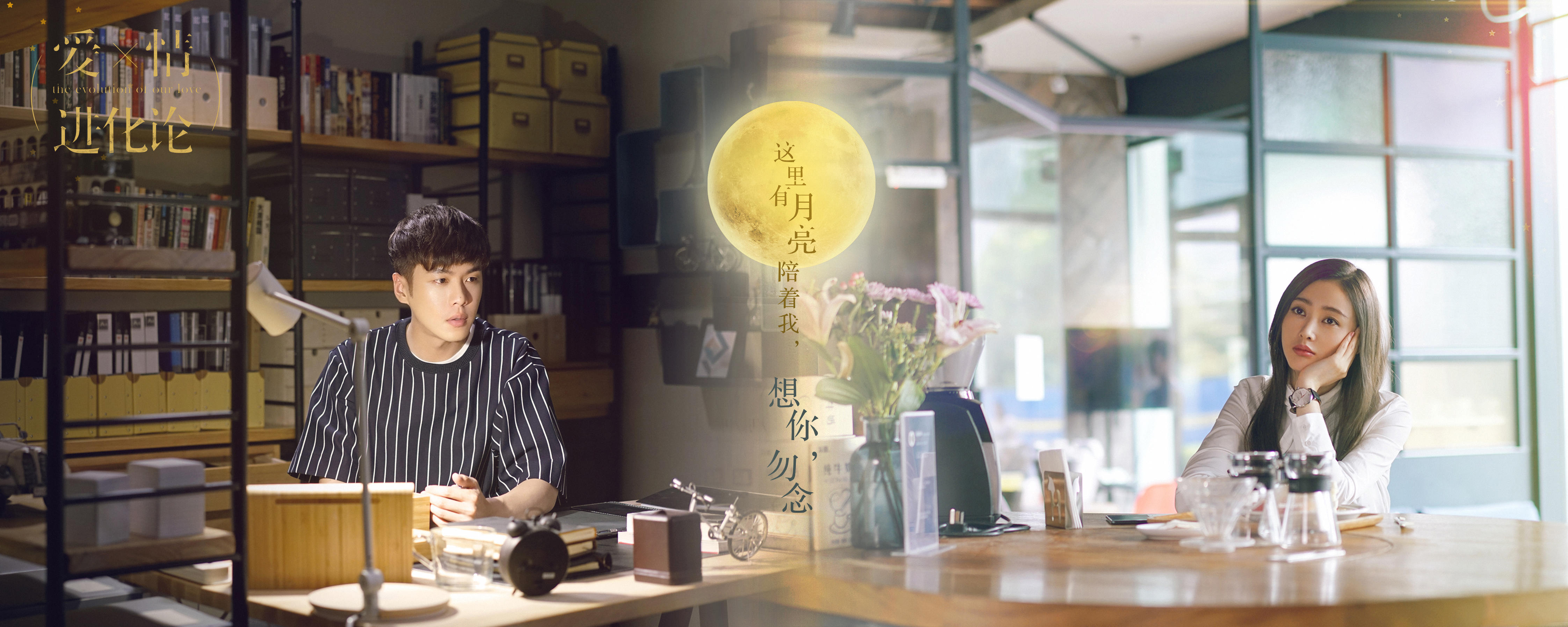 爱情进化论主角矛盾,爱情进化论台剧