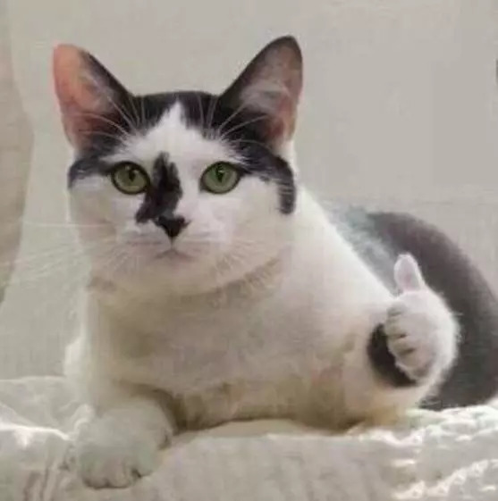 2018aj1全明星配色,谁是aj第一人