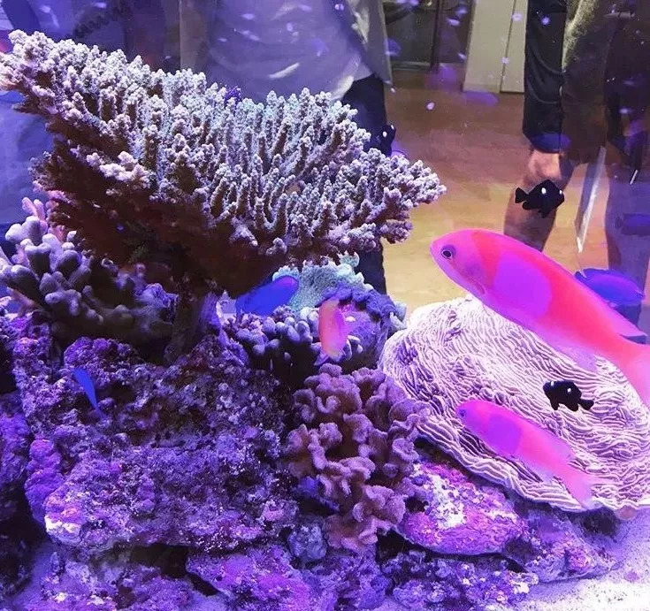 拆掉50年的高楼，索尼开了个网红店云集的大公园