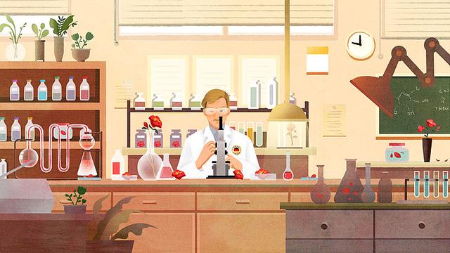 怎么从零基础学淘宝,淘宝教程零基础自学