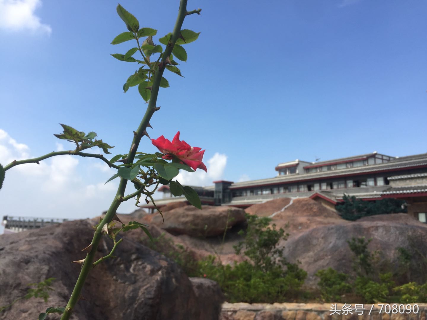 鼓山般若苑旅游攻略,鼓山般若苑网红景点