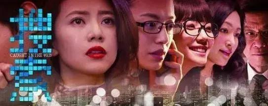 普禾观影｜搜索不尽