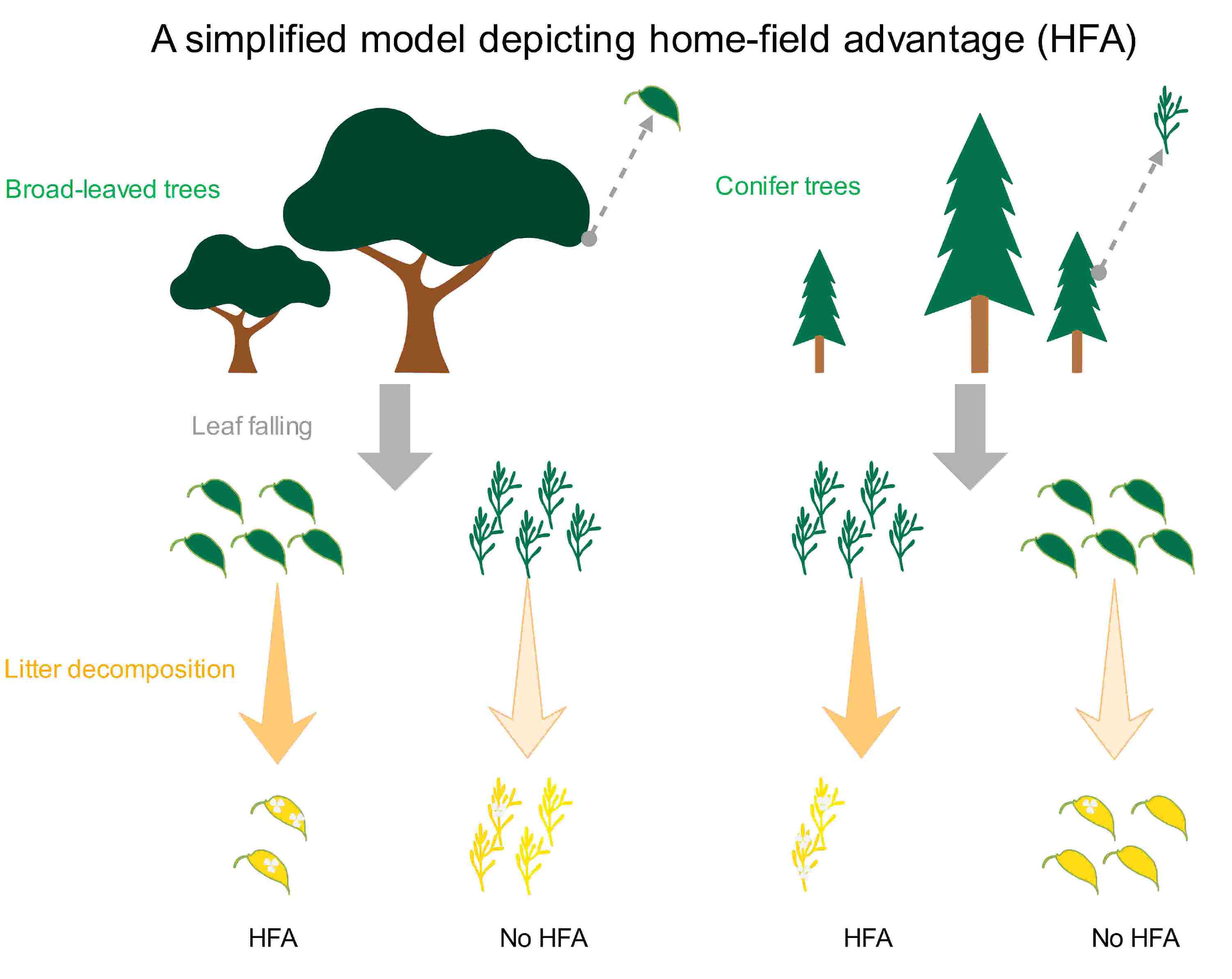 化作春泥更护花全诗及注解,化作春泥更护花意思相近的诗句