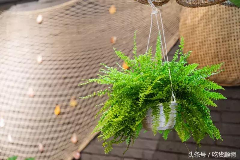 隐匿角落的美食,隐藏在闹市中的美味