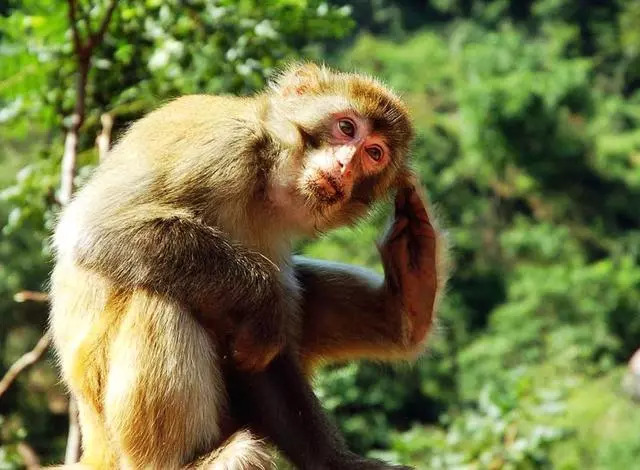 山西竟然还有这样绝美的地方,山西还有这么漂亮的地方吗