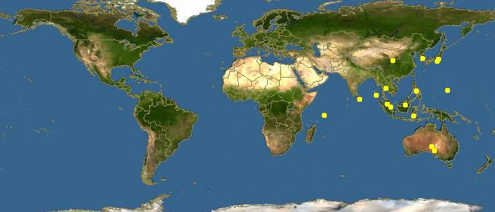 海边贝类种类,各种贝类的名称