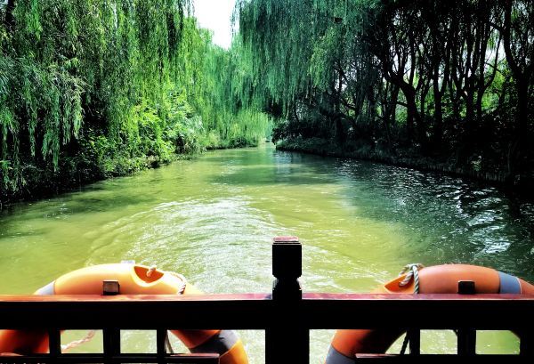 同里湿地好玩吗,同里湿地超有趣