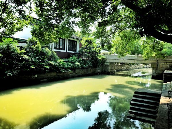 同里湿地好玩吗,同里湿地超有趣