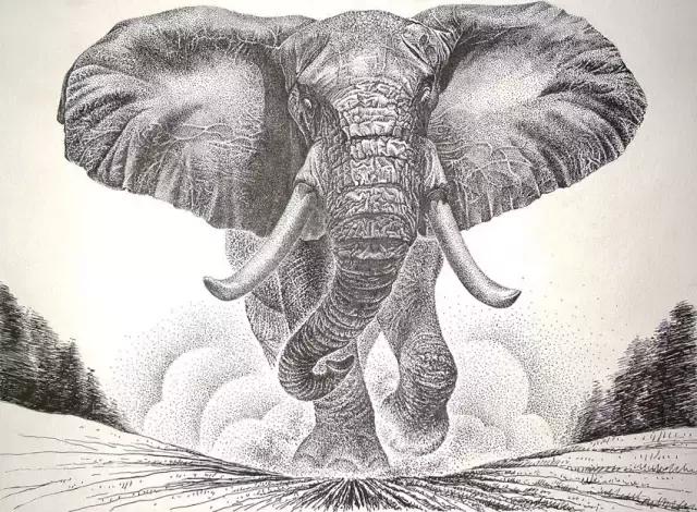 顶级超写实钢笔画,最惊艳的钢笔画大神