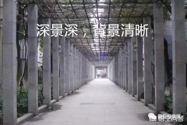 初学者单反相机入门教程,如何学习单反数码相机的简单操作