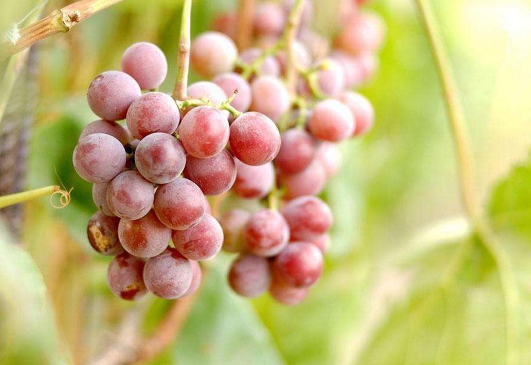 独来独往的人出现的三种气质,做人好的人身上都有的特征