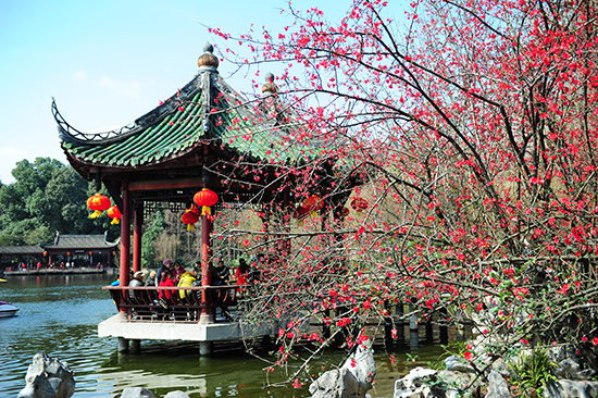 双流新城的发展潜力怎样,双流cbd最新规划