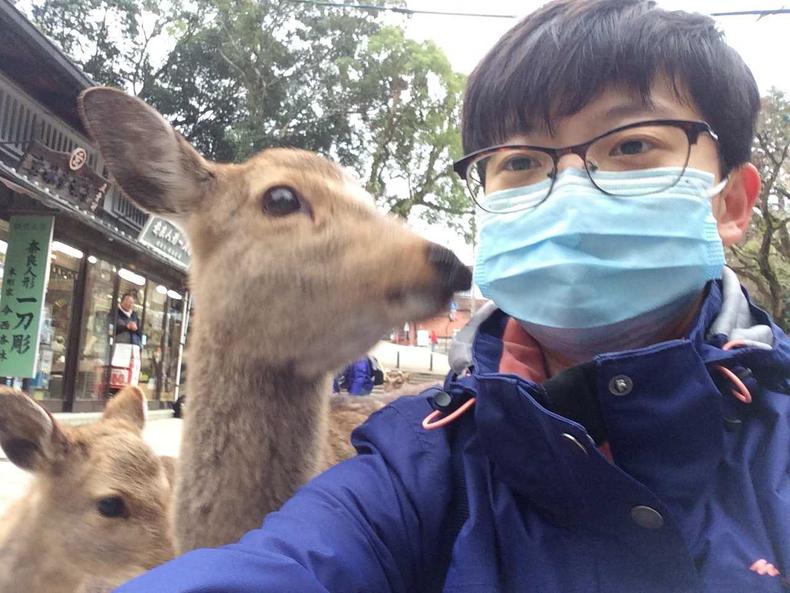 日本关西十大自由行,日本关西旅游攻略