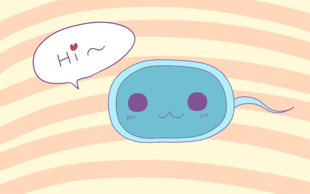 正常备孕多久可以用试纸测出来,女人怀孕几天能测试出来