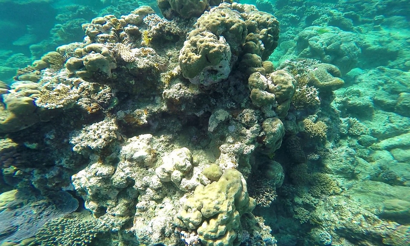 大堡礁值得去吗现在能去吗,大堡礁旅行攻略