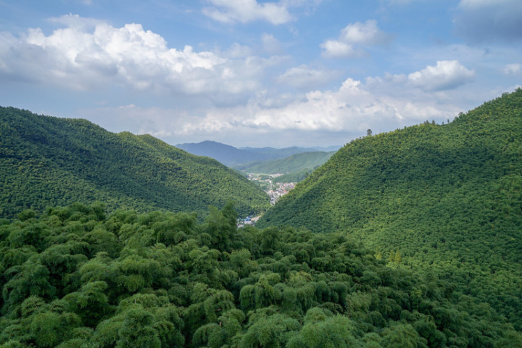 湖州安吉旅游省钱攻略,湖州安吉旅游景点攻略
