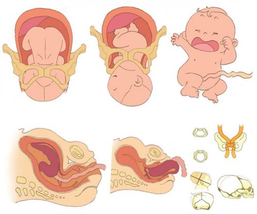 胎停育要做什么检查,孕早期胎停育备孕检查